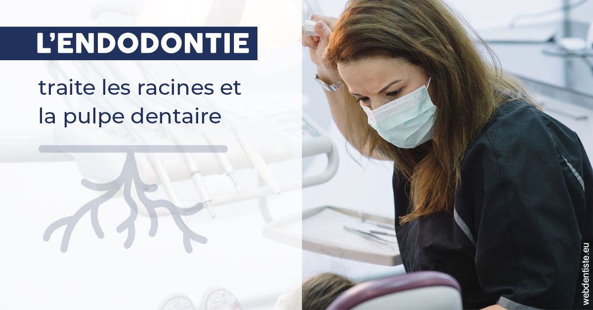 https://dr-marie-jose-huguenin.chirurgiens-dentistes.fr/L'endodontie 1