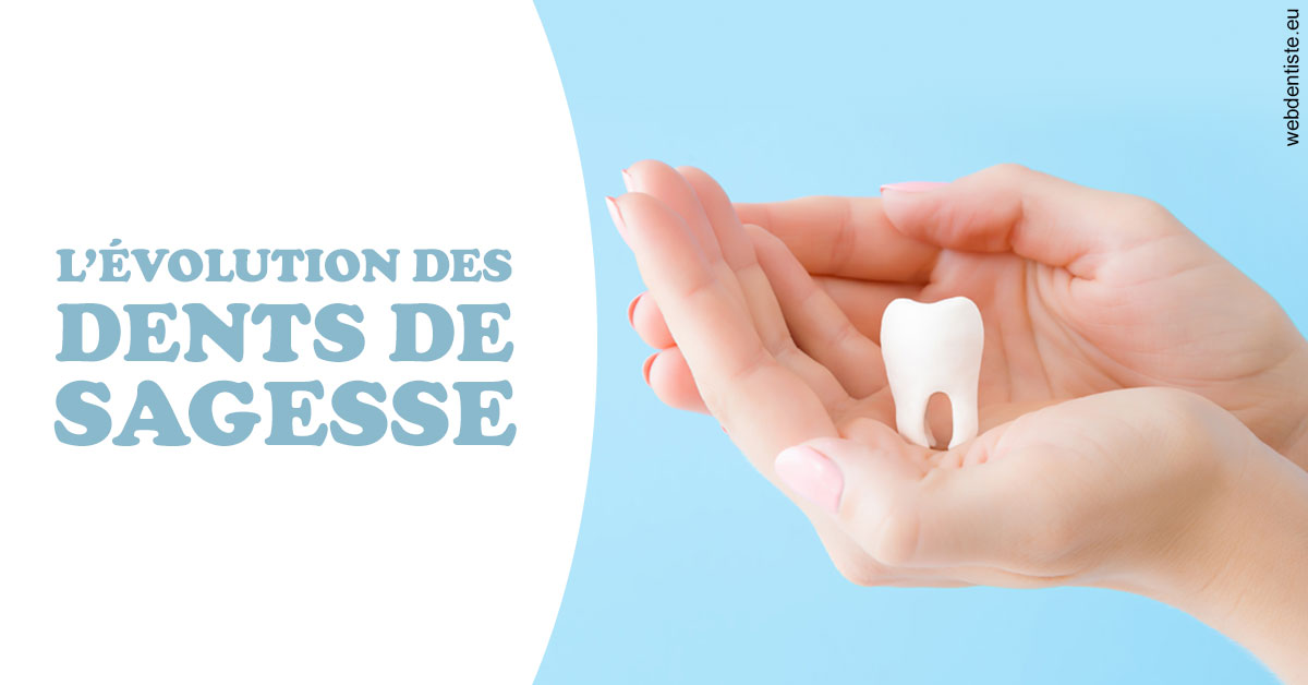https://dr-marie-jose-huguenin.chirurgiens-dentistes.fr/Evolution dents de sagesse 1