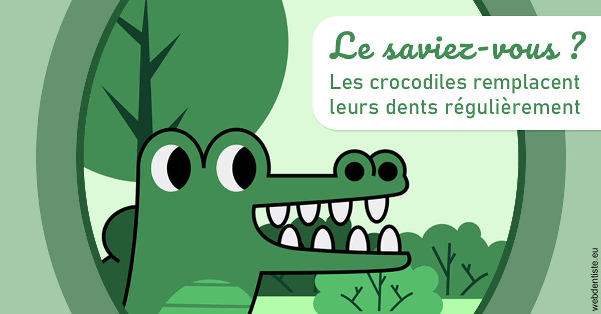 https://dr-marie-jose-huguenin.chirurgiens-dentistes.fr/Crocodiles 2