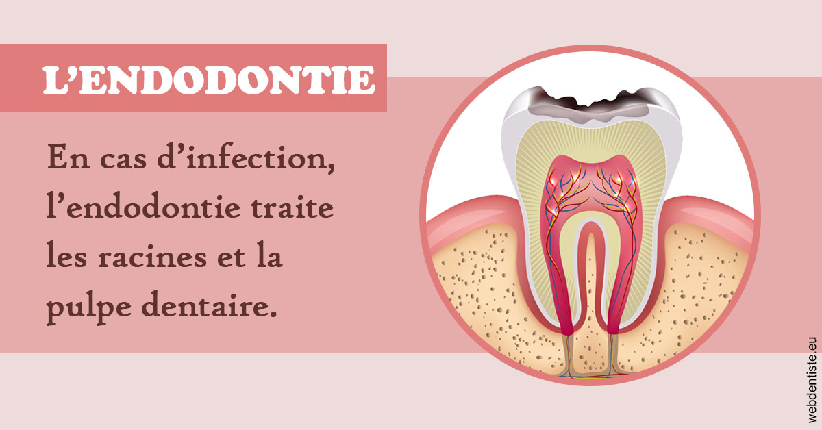 https://dr-marie-jose-huguenin.chirurgiens-dentistes.fr/L'endodontie 2
